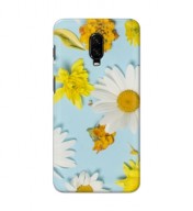 Customized Mobile Back Cover for One Plus 6t