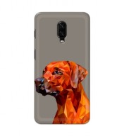 Customized Mobile Back Cover for One Plus 6t
