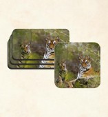 Customize Coaster with Lion image